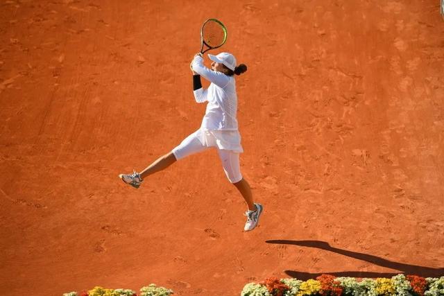 成都蓉城的 成都蓉城的